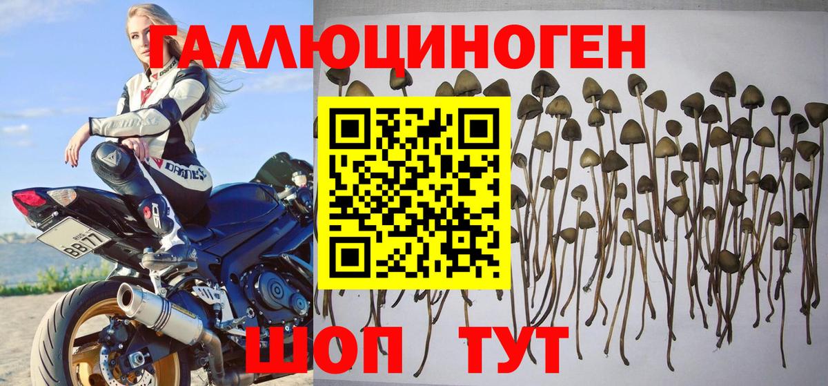 Галлюциногенные грибы мухоморы Астрахань