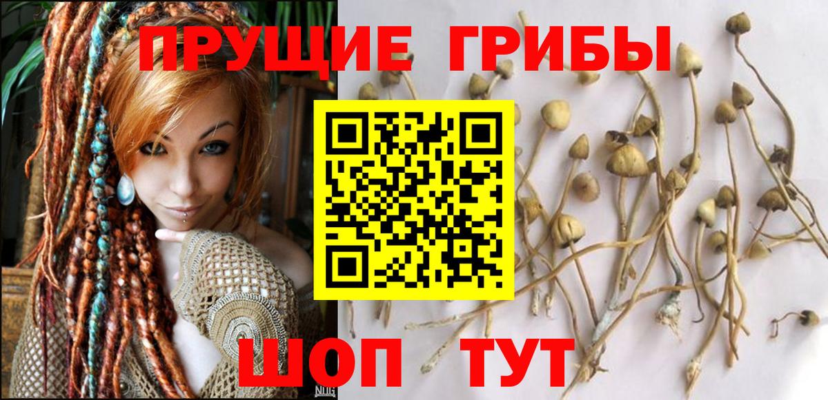 Галлюциногенные грибы мухоморы  Галлюциногенные грибы прущие грибы  Вход с VPN  Астрахань 
